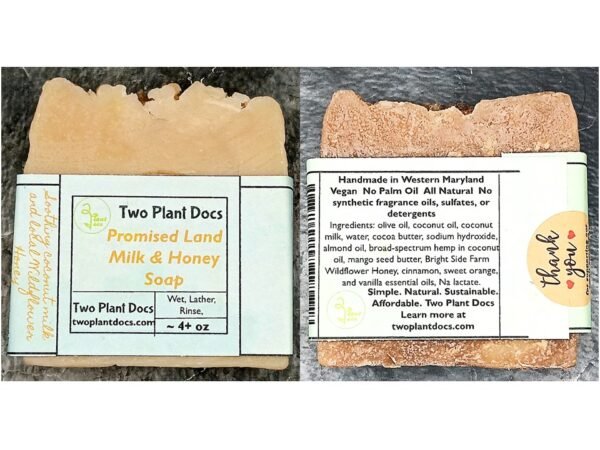 Two square bars of Promised Land Milk & Honey Soap